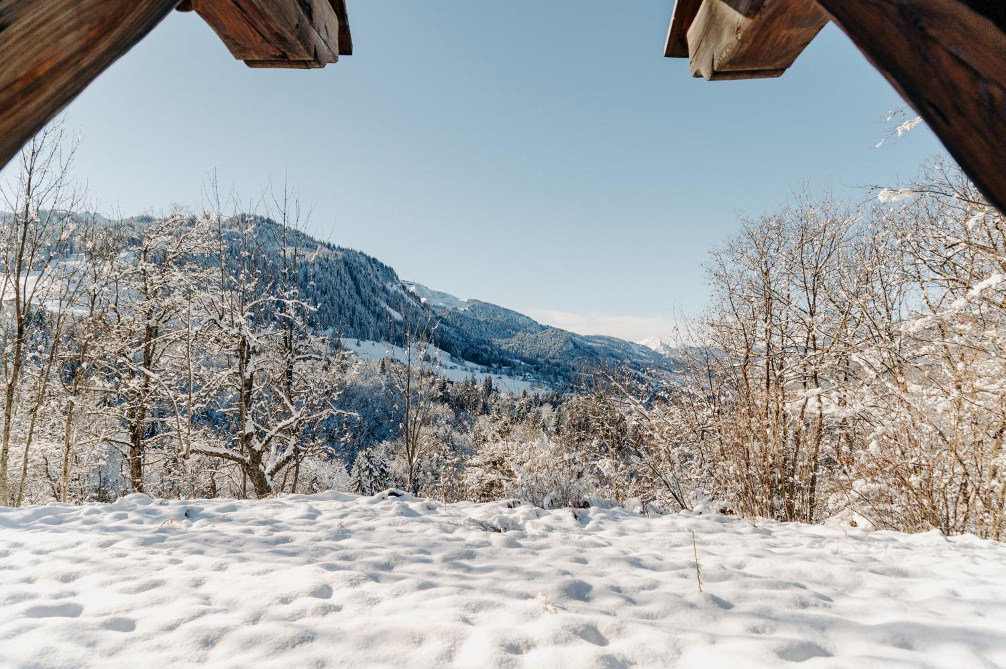Les Chalets Du Mont D'Arbois & Spa, Megeve Bagian luar foto