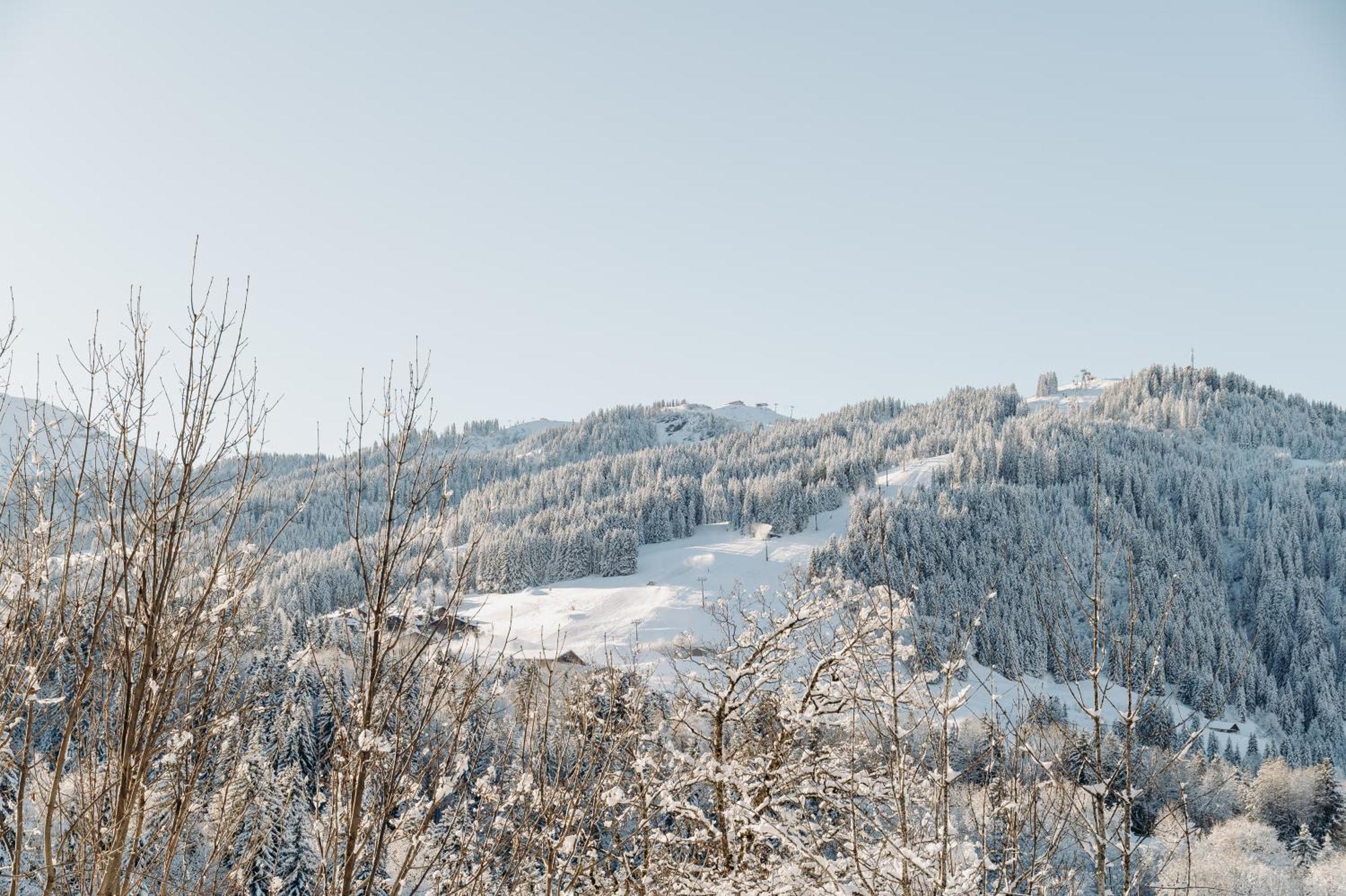 Les Chalets Du Mont D'Arbois & Spa, Megeve Bagian luar foto