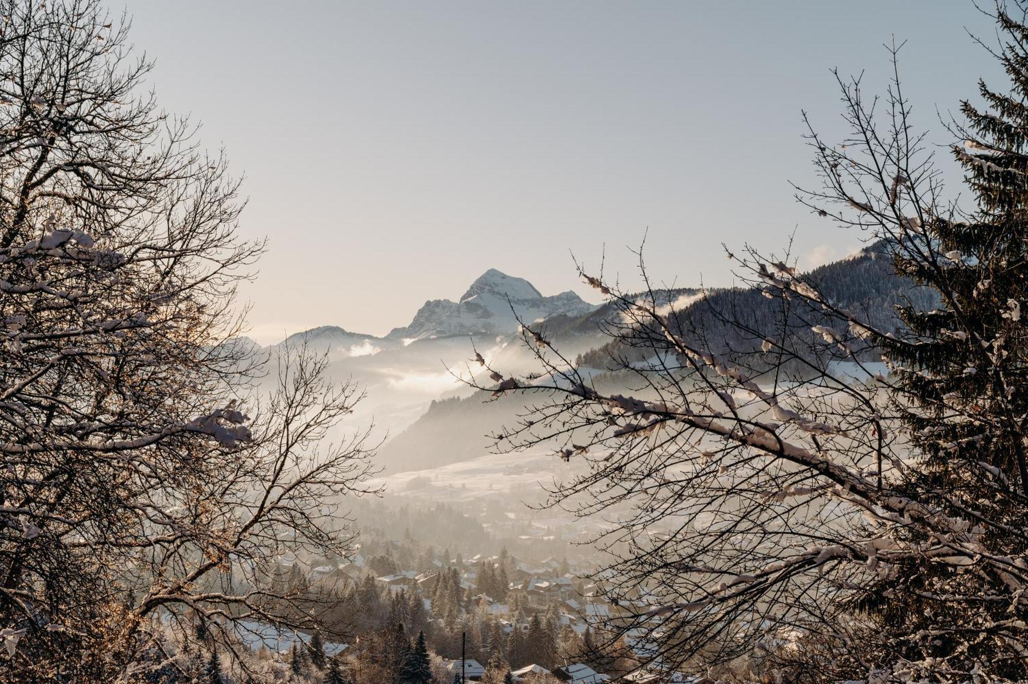 Les Chalets Du Mont D'Arbois & Spa, Megeve Bagian luar foto